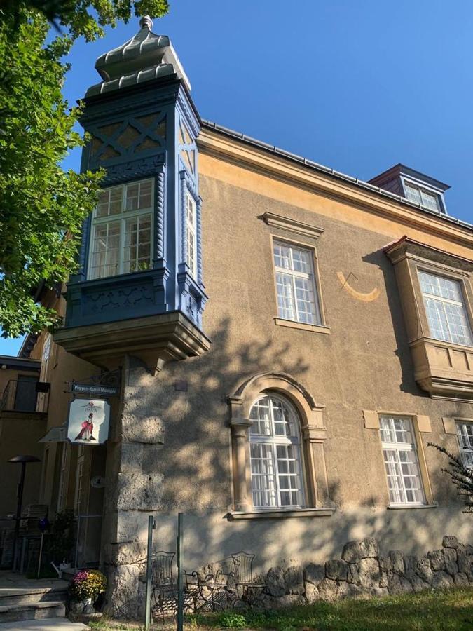 Villa Pazelt Top1 Bad Voeslau Buitenkant foto