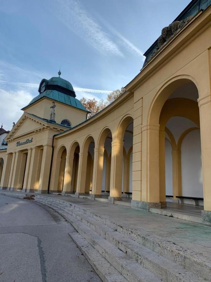 Villa Pazelt Top1 Bad Voeslau Buitenkant foto