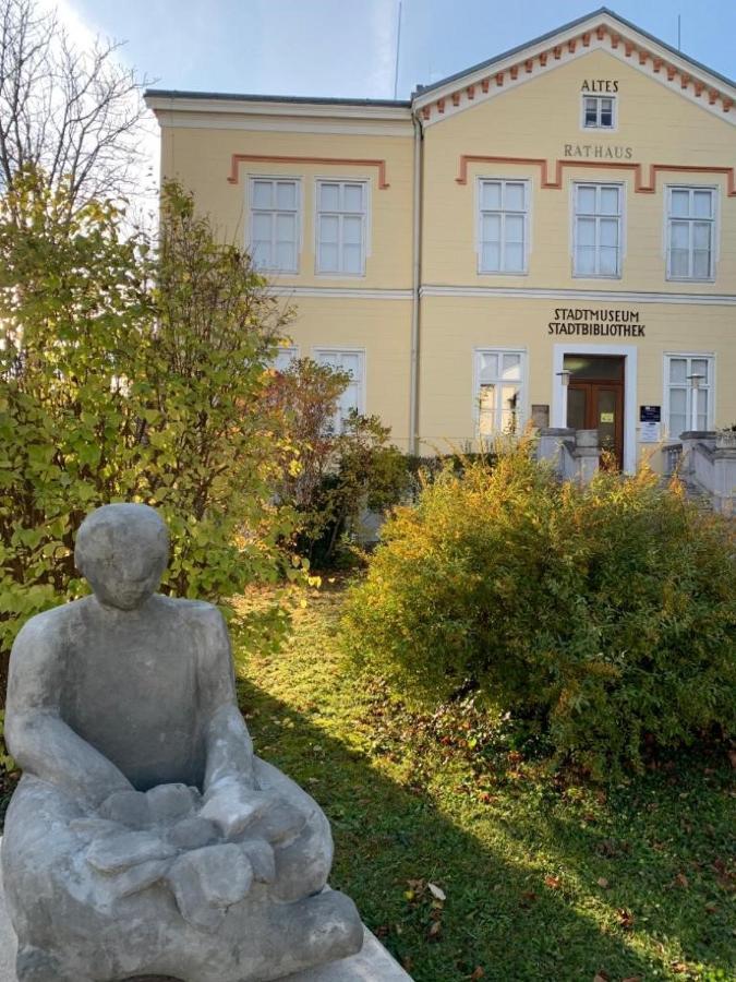 Villa Pazelt Top1 Bad Voeslau Buitenkant foto